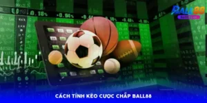 Cách tính kèo cược chấp Ball88