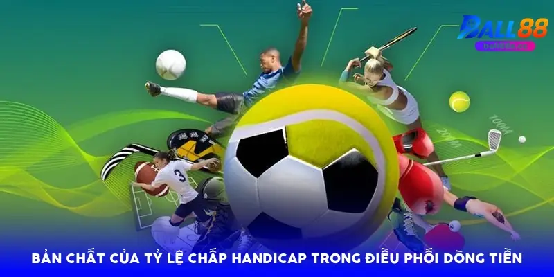 Bản chất của tỷ lệ chấp handicap trong điều phối dòng tiền
